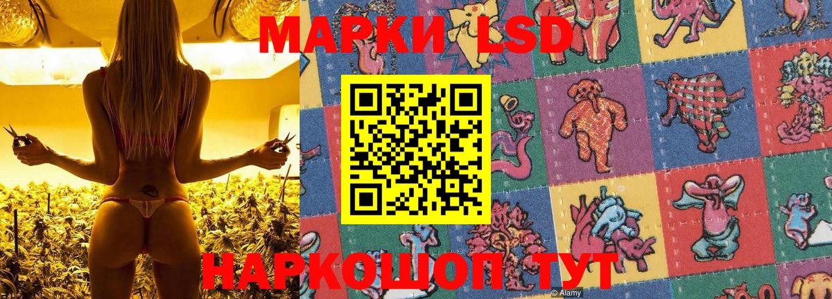 Наркотические марки 1500мкг Кашира