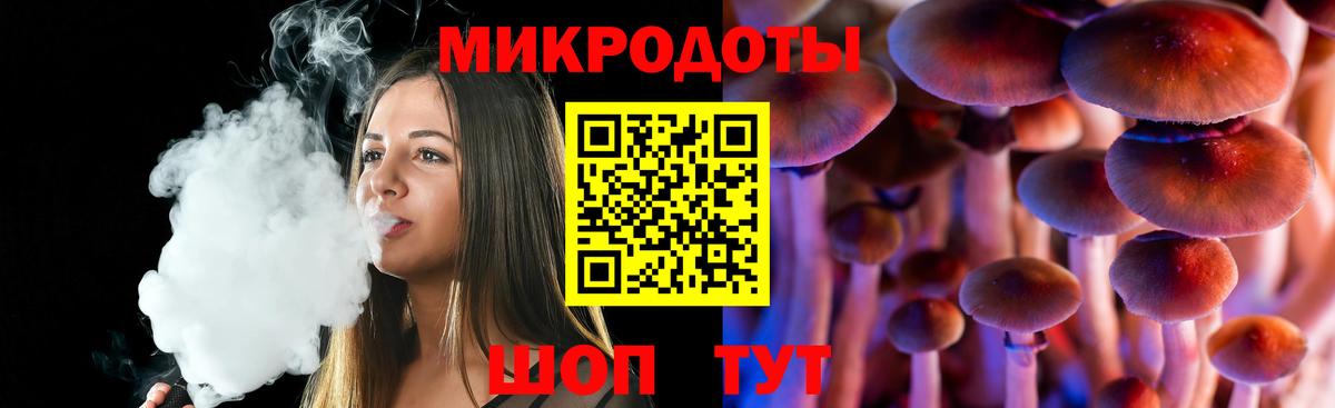 Псилоцибиновые грибы Psilocybine cubensis Кашира